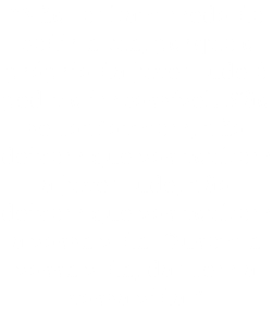 “Não tenham medo de pedir a lua, porque o próprio da juventude é pedir o impossível. Não se conformem, não deixem que vos roubem a juventude, não deixem que vos roubem a vossa vida. Ousem a vossa vida, dancem a vossa vida.”