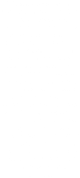 A Sessão Nacional não começou nas comissões. Começou logo de manhã, na viagem de autocarro até à Assembleia da República. A viagem (...) foi uma oportunidade para conhecer novas pessoas e debater ideias sobre os mais diversos temas, ouvindo opiniões diferentes das nossas e expondo as nossas perspetivas face a essas opiniões. Foi, também, um momento de muita alegria e animação. O Parlamento dos Jovens é, inquestionavelmente, mais do que um projeto no qual podemos estar dentro do mundo político.