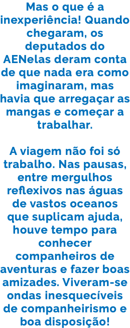 Mas o que é a inexperiência! Quando chegaram, os deputados do AENelas deram conta de que nada era como imaginaram, mas havia que arregaçar as mangas e começar a trabalhar. A viagem não foi só trabalho. Nas pausas, entre mergulhos reflexivos nas águas de vastos oceanos que suplicam ajuda, houve tempo para conhecer companheiros de aventuras e fazer boas amizades. Viveram-se ondas inesquecíveis de companheirismo e boa disposição!