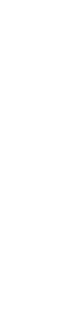 (...) alunos, deputados e repórteres, conversam com os professores e debate-se tudo. Política, principalmente. Numa estação de serviço, uns senhores engravatados e com ar sério admiram-se com o tópico da conversa de um grupo de alunos e pergunta onde vão. “Vamos à Assembleia da República. Somos deputados”, diz um dos alunos com um sorriso irreverente. O senhor não se afasta muito convencido. Mais que políticos, formam-se aqui cidadãos. E a amizade, se não faz parte da cidadania, devia. Mas, entre piadas bairristas, o que fica destes dias é uma perfeita comunhão de sentimentos. Não só porque, afinal, somos iguais, mas, principalmente, porque somos diferentes.