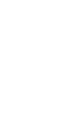É imperativo que essa Nova Geração de Jovens, esses Deputados e Repórteres do Parlamento dos Jovens se consciencializem que são eles a voz que desponta para criar e louvar novos modelos Democráticos. Neste espaço, alargámos horizontes, ganhámos maturidade, numa tentativa incessante de busca de um mundo melhor, de um país mais justo e mais assertivo.