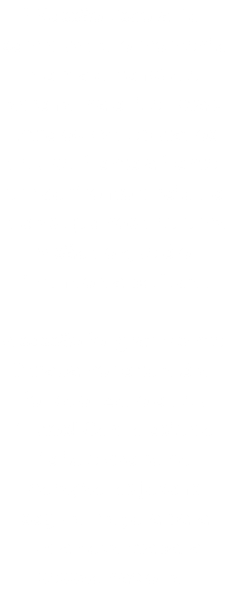 A Sessão Escolar foi, sem dúvida, o momento de maior tensão e adrenalina entre listas! Entre os 29 deputados, deu-se, frente a frente, um confronto direto de ideias que nos deu uma visão do que é o “mundo da política”. A sessão foi gratificante. O trabalho feito até ali foi valorizado e deu frutos! Com o estudo feito e Aveiro no coração, os jovens seguiam agora para uma nova etapa: a sessão nacional.